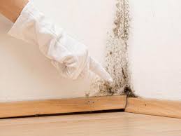 Best Mold Prevention Services  in Smith Mills, MA